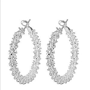 Earwire 925 sterling silver Earring Jewelry